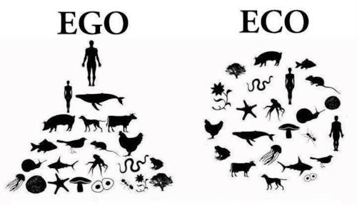 imatge_eco
