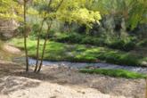Cam&iacute; del Riu
