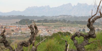 El Pened&egrave;s