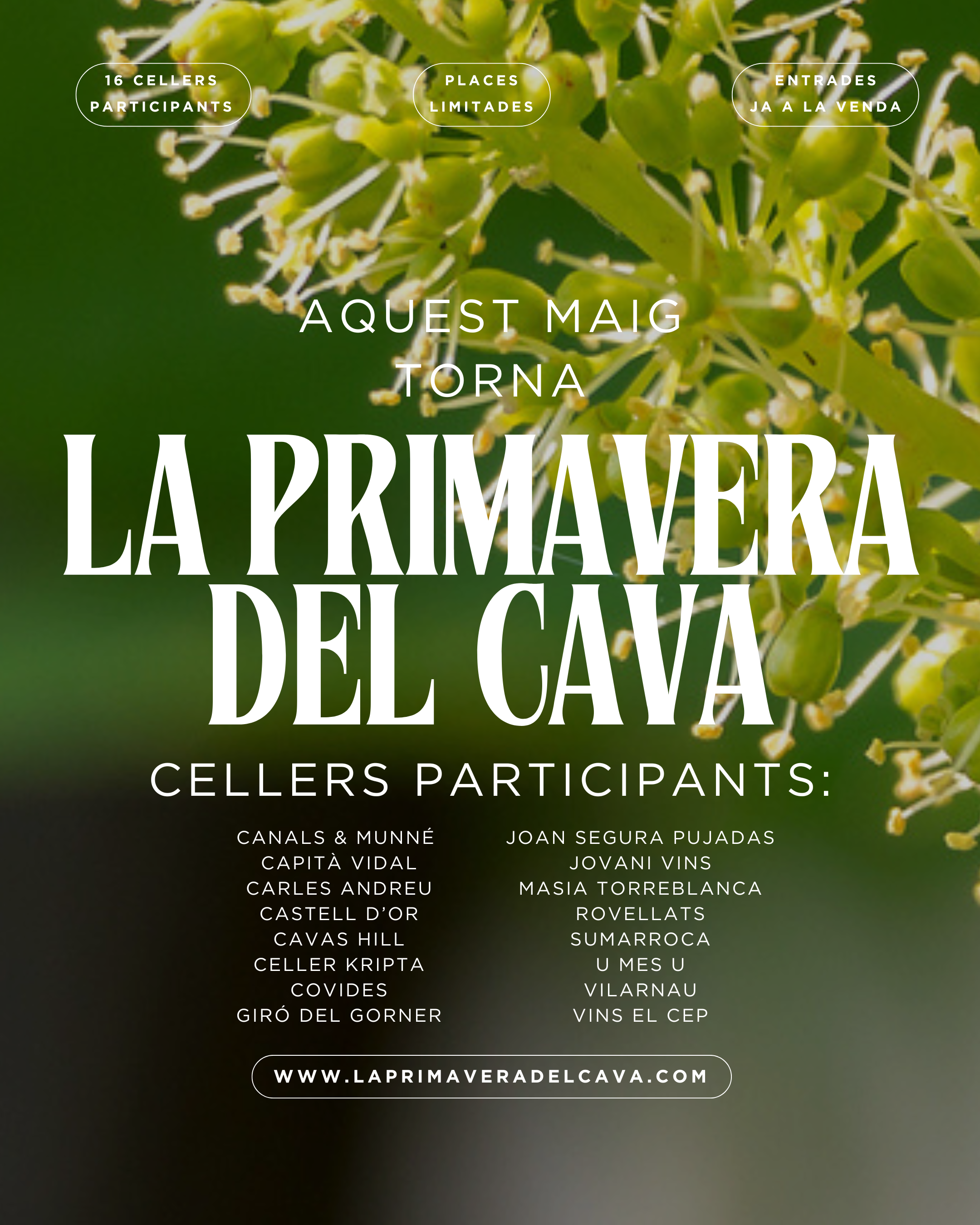 La primavera del cava 2025